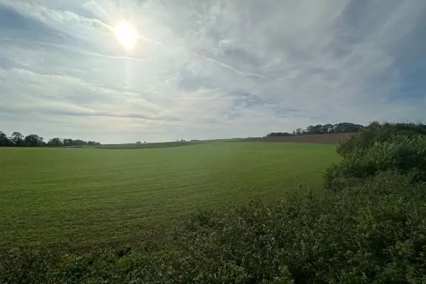Terrain